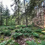 بيت للعطل In With Hot Tub & Forest زيلهيم