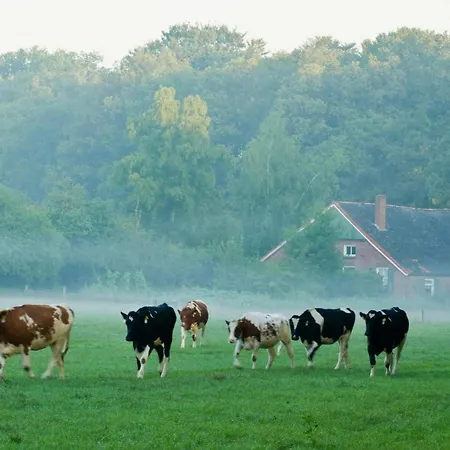 In With Hot Tub & Forest * Zelhem