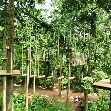 In With Hot Tub & Forest