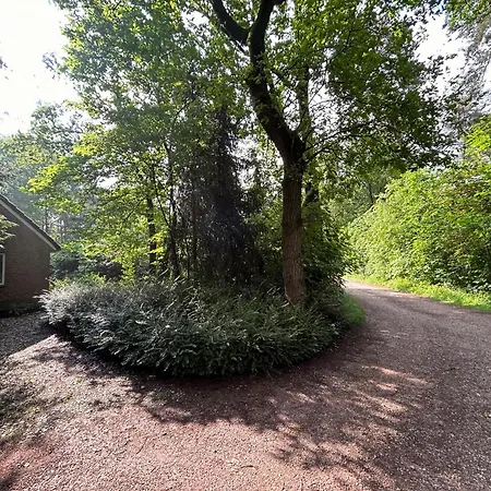 In With Hot Tub & Forest Dom wakacyjny *