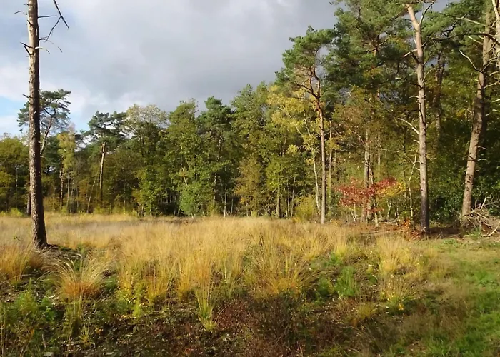 In With Hot Tub & Forest Dom wakacyjny *