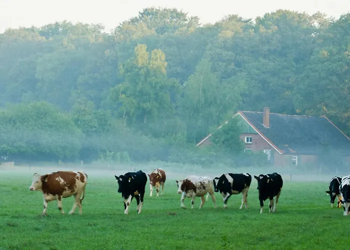 In With Hot Tub & Forest * 泽尔赫姆