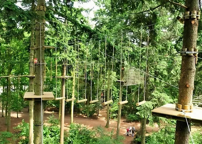 In With Hot Tub & Forest