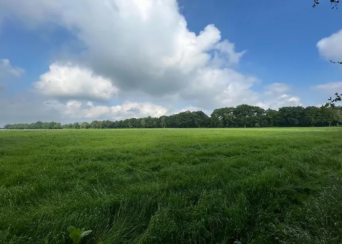 In With Hot Tub & Forest 泽尔赫姆