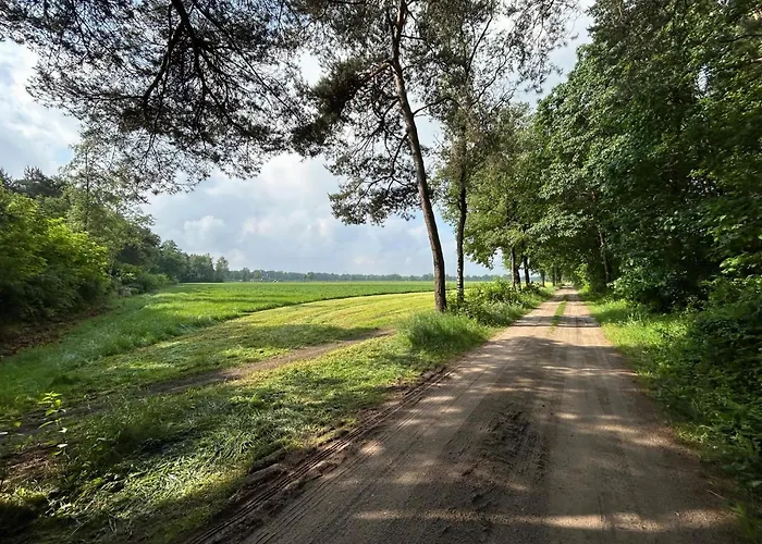 In With Hot Tub & Forest