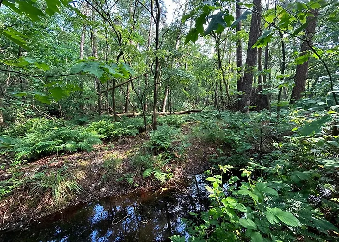 In With Hot Tub & Forest 度假居 泽尔赫姆