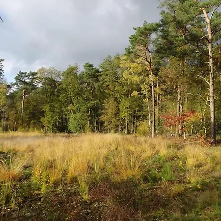 In Nature With Hottub Holiday home *
