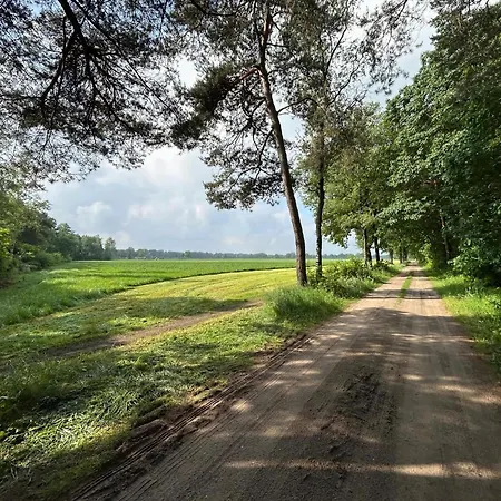 In With Hot Tub & Forest
