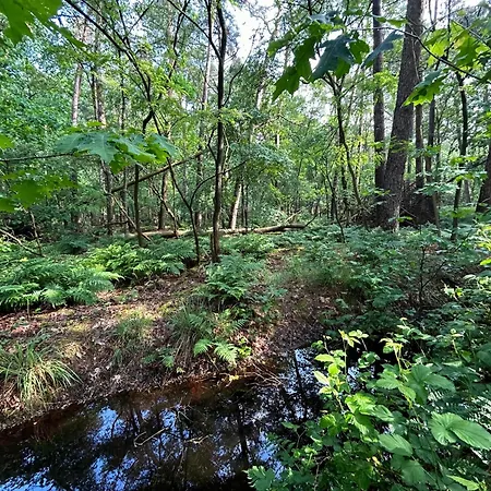 In With Hot Tub & Forest Hébergement de vacances Zelhem