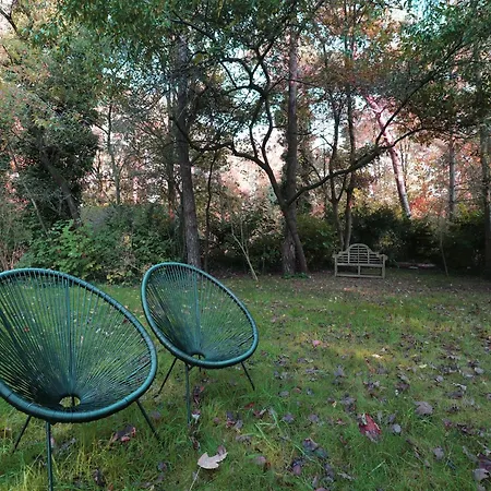 In Nature With Hottub * Zelhem